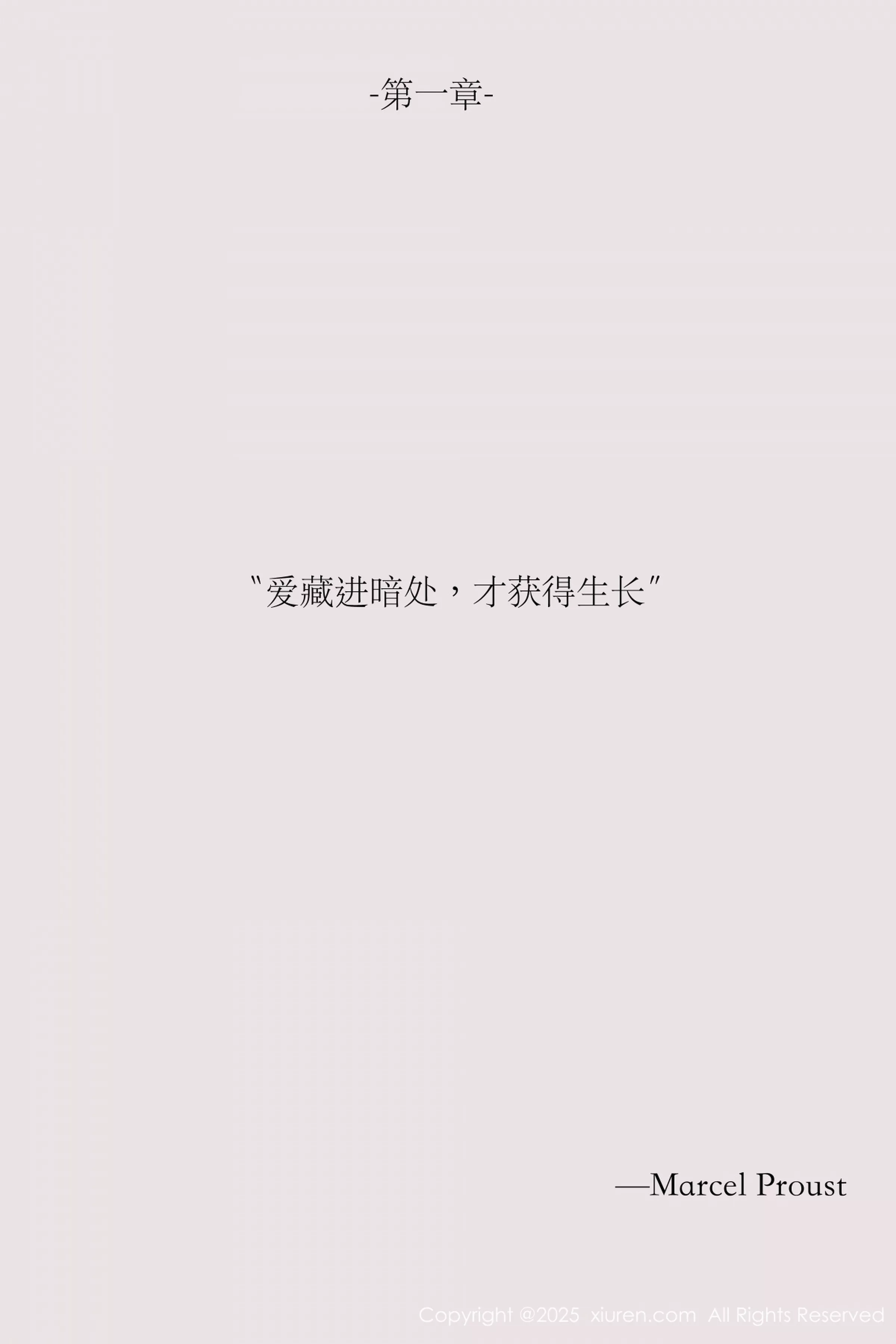 布丁写真